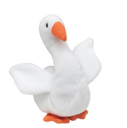 duck.jpg (16241 bytes)