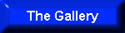 The Gallery