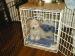 z-annabelle-afterbath.jpg 2.1K