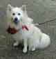 Bob (w/ Ball)