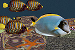 VRML Word by Vicx - "The Fish Tank"