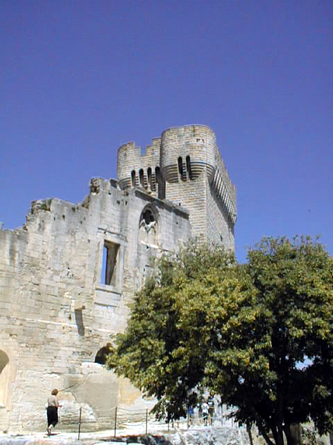 f31_Abbaye_du_Montmajour.jpg 182.0K