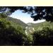 z-f43_abbaye.jpg 2.2K