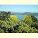 z-f57_moustiers_sainte_marie.jpg 2.1K